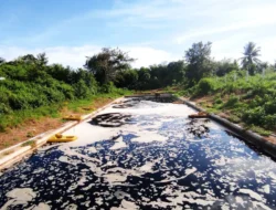 Inovasi Hijau UIN STS Jambi: Eco Enzyme Atasi Limbah Kurban Secara Ramah Lingkungan