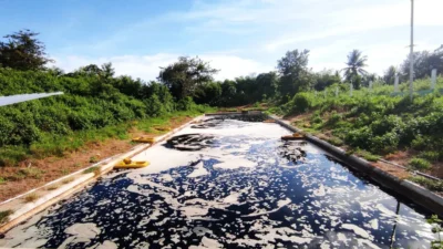 Inovasi Hijau UIN STS Jambi: Eco Enzyme Atasi Limbah Kurban Secara Ramah Lingkungan