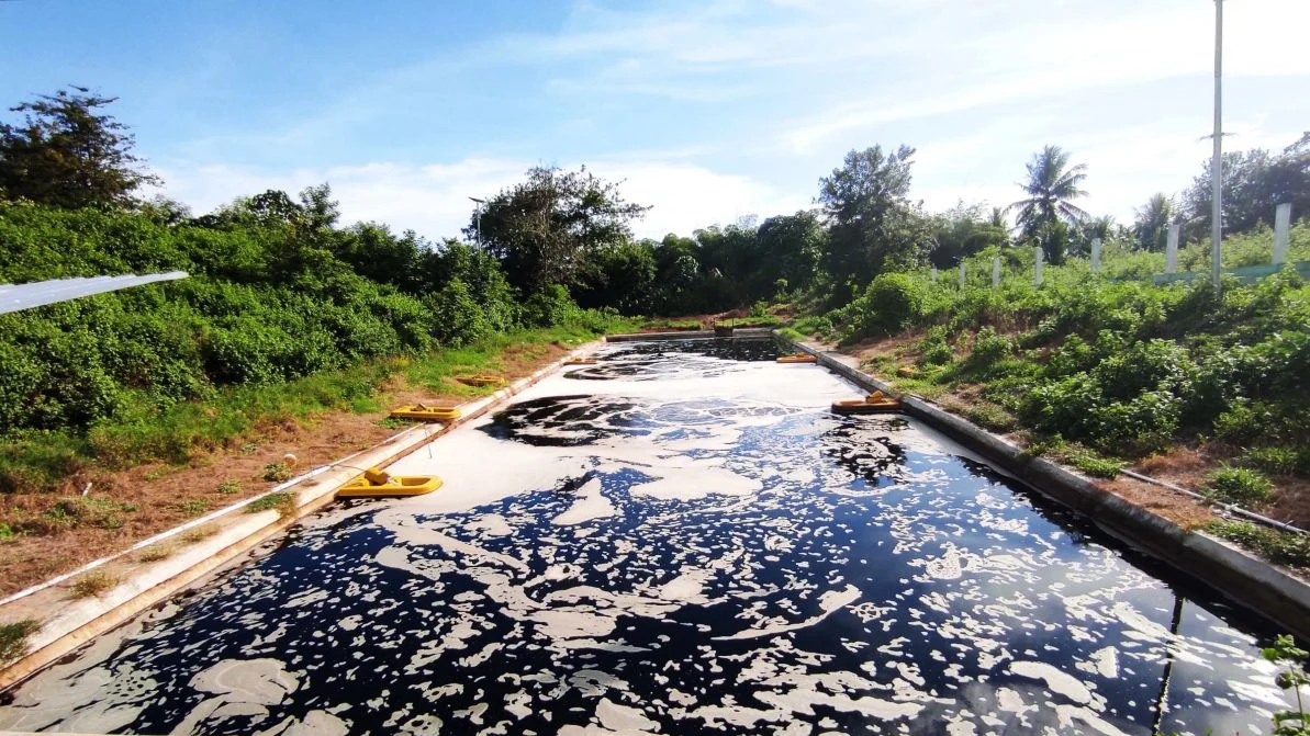 Inovasi Hijau UIN STS Jambi: Eco Enzyme Atasi Limbah Kurban Secara Ramah Lingkungan