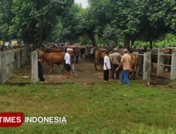 Jelang Idul Adha 2026, Pemprov DKI Perketat Pengawasan Hewan Kurban Cegah PMK