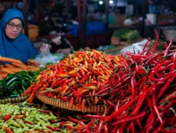 Jelang Idul Adha, Harga Cabai Rawit Merah di Jakarta Tembus Rp 80 Ribu per Kg, Pengaruh Cuaca dan Permintaan