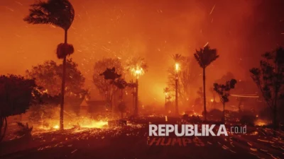 Kebakaran Liar Menghanguskan Ribuan Hektar di Florida Selatan dan Misi Penyelamatan Medis yang Menghebohkan