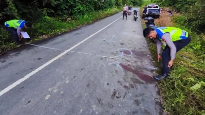 Kecelakaan di Nanga Taman: Sepeda Motor Hilang Ditemukan di Semak