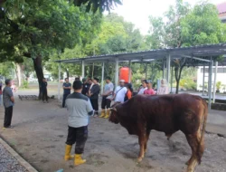 Kemhan Gelar Penyembelihan Hewan Kurban Iduladha 1447 H, Perkuat Kepedulian Sosial dan Semangat Berbagi di Jakarta