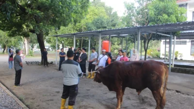 Kemhan Gelar Penyembelihan Hewan Kurban Iduladha 1447 H, Perkuat Kepedulian Sosial dan Semangat Berbagi di Jakarta