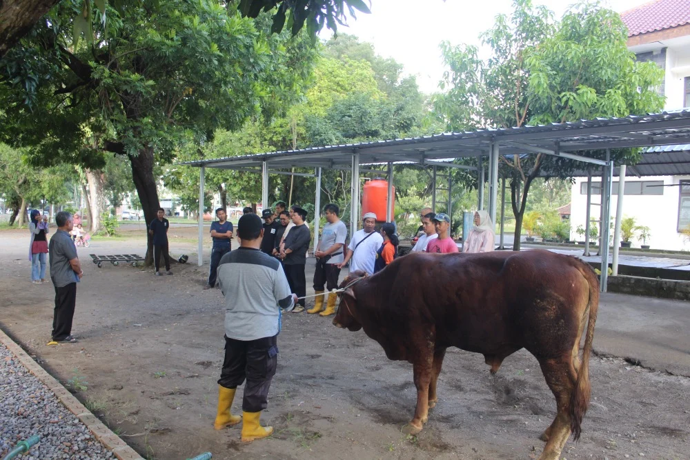 Kemhan Gelar Penyembelihan Hewan Kurban Iduladha 1447 H, Perkuat Kepedulian Sosial dan Semangat Berbagi di Jakarta
