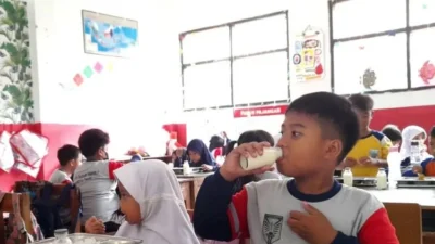 Kepala BGN Tegaskan Program MBG Tidak Bagikan Susu Formula Bayi Secara Massal: Mengutamakan ASI Eksklusif