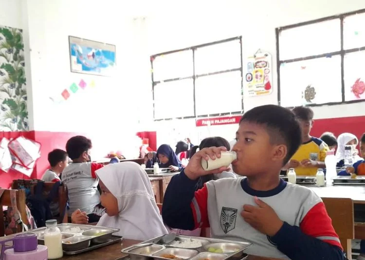 Kepala BGN Tegaskan Program MBG Tidak Bagikan Susu Formula Bayi Secara Massal: Mengutamakan ASI Eksklusif