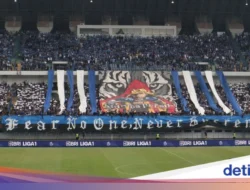 Ketua Viking Minta Bobotoh Dewasa: Jangan Rusuh Nodai Laga Penentu Gelar Juara Persib