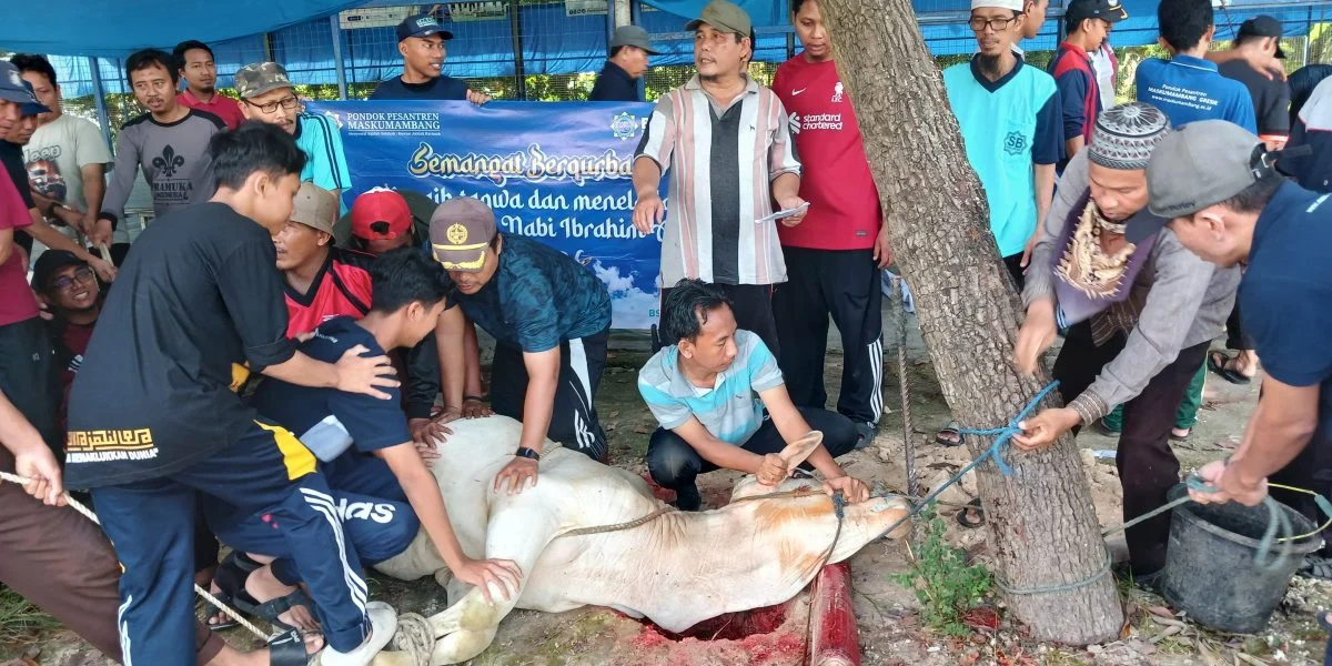 Khidmat dan Penuh Makna: Komunitas Malaysia di Jakarta Rayakan Iduladha dengan Penyembelihan 20 Hewan Kurban