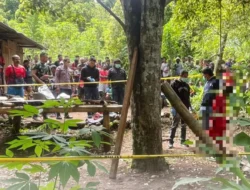 Krisis Bunuh Diri di Flores: Masyarakat dan Pemerintah Harus Bertindak Bersama