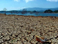 Krisis Ekologi NTT: Ancaman Kenaikan Permukaan Air Laut dan Kerusakan Lingkungan