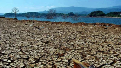 Krisis Ekologi NTT: Ancaman Kenaikan Permukaan Air Laut dan Kerusakan Lingkungan