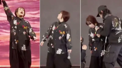 Maki Otsuki Nyanyikan Lagu Ikonik One Piece di 'Festivaaal Marapthon: The Last Tale', Berikut Liriknya