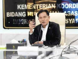 Menko Yusril Buka Suara soal Film Pesta Babi: Masyarakat Boleh Nonton, Pemerintah Tidak Melarang