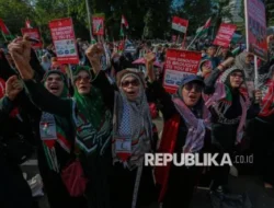 MUI Kecam Penangkapan Wartawan Republika oleh Tentara Israel, Desak Pemerintah Indonesia Turun Tangan