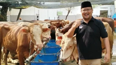 Pemprov DKI Pastikan Distribusikan Daging Hewan Kurban ke Masyarakat Aman dan Halal