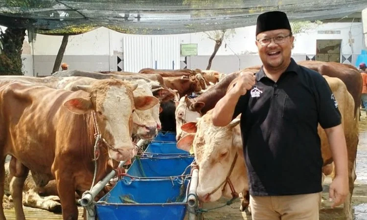 Pemprov DKI Pastikan Distribusikan Daging Hewan Kurban ke Masyarakat Aman dan Halal
