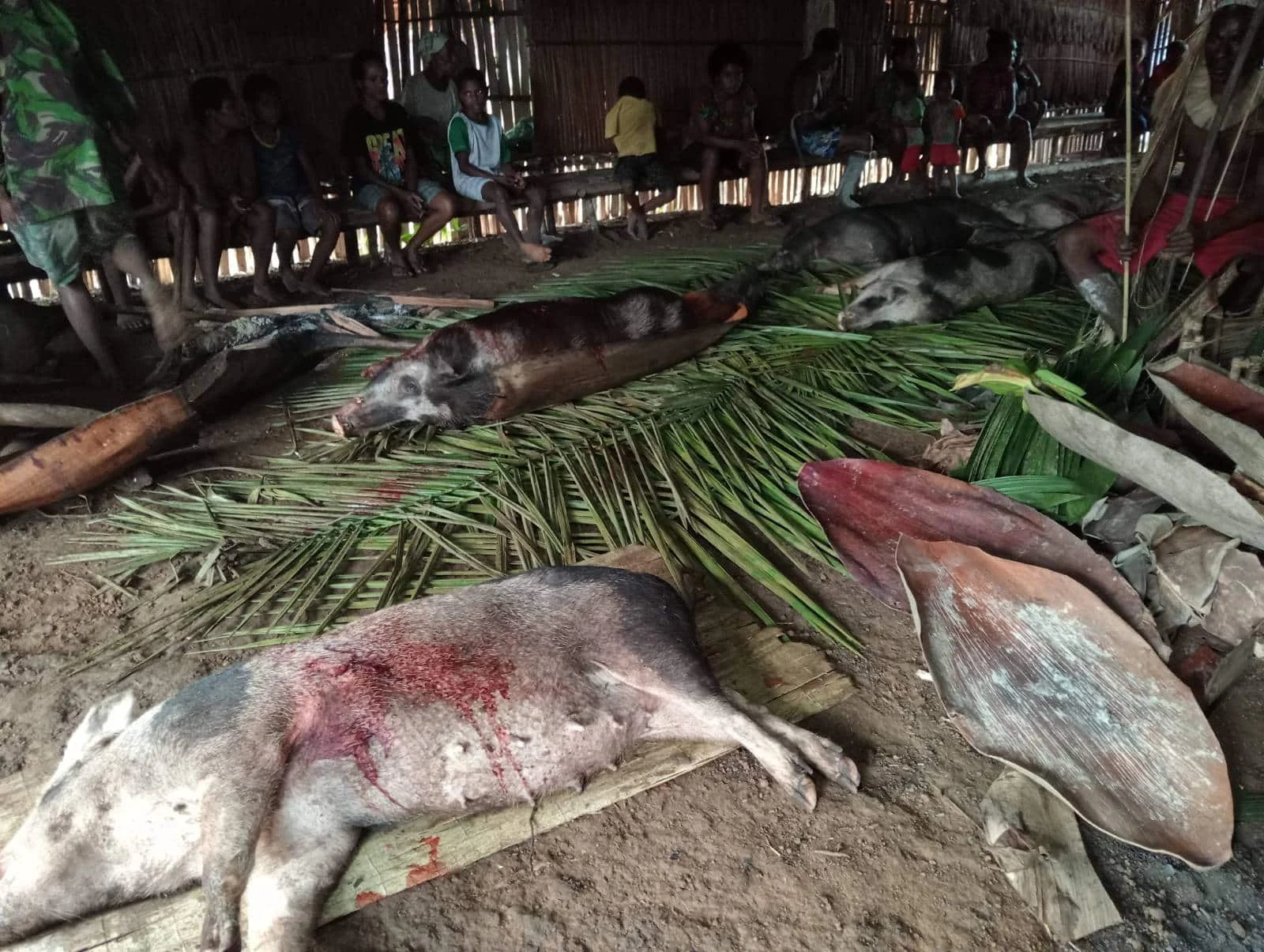 Pesta Babi di Labuan Bajo: Kolonialisme Baru, Perebutan Ruang, dan Tantangan Gereja