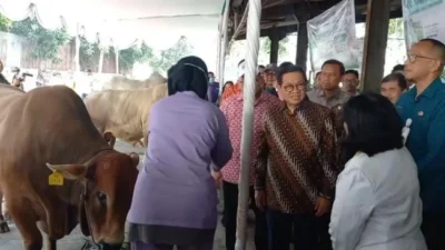 Pramono Larang Jual Hewan Kurban di Trotoar Jakarta, Pastikan Stok Sapi dan Kambing Aman