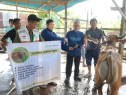 PT Medco E 038 P Salurkan 39 Hewan Kurban, Ratusan Warga Sekitar Perusahaan Terima Manfaat – Kebahagiaan di Aceh Timur