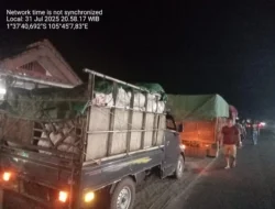 Puluhan Ton Bawang Impor Ilegal dari Malaysia Dimusnahkan, Masuk lewat Jalur Tikus di Kalimantan