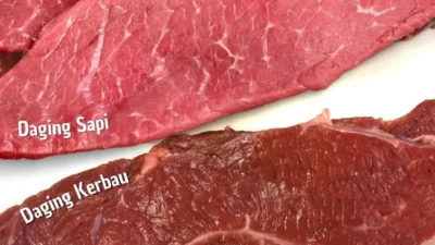 Rahasia di Balik Warna dan Aroma: Kenali Perbedaan Daging Sapi, Kerbau, Kambing, dan Domba Secara Praktis