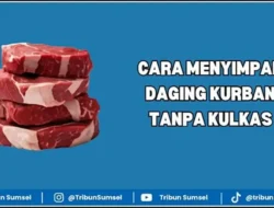 Rahasia Simpan Daging Kurban Tanpa Kulkas: 5 Cara Menyimpan Daging Kurban Tanpa Kulkas, Tetap Awet dan Antibusuk yang Terbukti Efektif