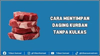 Rahasia Simpan Daging Kurban Tanpa Kulkas: 5 Cara Menyimpan Daging Kurban Tanpa Kulkas, Tetap Awet dan Antibusuk yang Terbukti Efektif