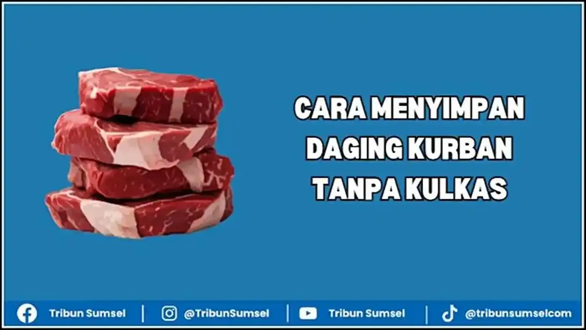 Rahasia Simpan Daging Kurban Tanpa Kulkas: 5 Cara Menyimpan Daging Kurban Tanpa Kulkas, Tetap Awet dan Antibusuk yang Terbukti Efektif