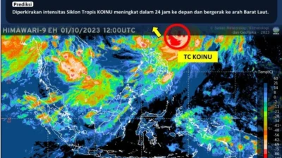 Siklon Tropis di Utara Papua Nugini Picu Hujan Lebat di Indonesia