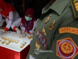 Skandal Narkoba Melibatkan Lima Anggota TNI, Dandim Manggarai Barat Siapkan Tes Urine Massal