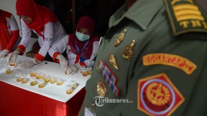 Skandal Narkoba Melibatkan Lima Anggota TNI, Dandim Manggarai Barat Siapkan Tes Urine Massal