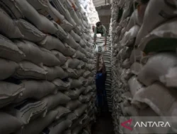 Stok Beras Indonesia Tembus 5,37 Juta Ton, Tertinggi Sepanjang Sejarah: Apa Artinya bagi Kita?