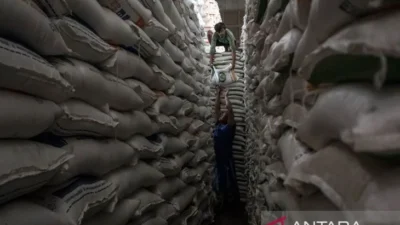 Stok Beras Indonesia Tembus 5,37 Juta Ton, Tertinggi Sepanjang Sejarah: Apa Artinya bagi Kita?