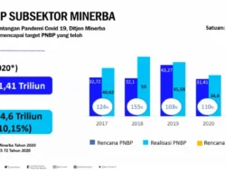 Struktur Penerimaan Negara Sektor Minerba: Mengapa Kekayaan Alam Indonesia Tidak Membantu Perekonomian?