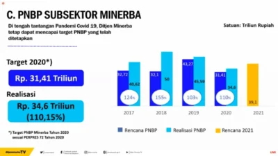 Struktur Penerimaan Negara Sektor Minerba: Mengapa Kekayaan Alam Indonesia Tidak Membantu Perekonomian?