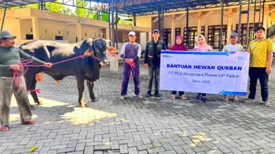 Tebar Berkah Idul Adha 1447 H: PLN UID Suluttenggo Salurkan Puluhan Hewan Qurban, Bantu Ribuan Masyarakat