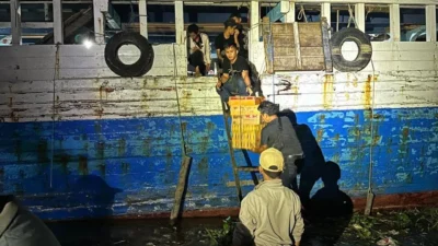 BKSDA Gagalkan Penyelundupan 203 Ekor Burung di Tol Trans Sumatera: Penangkapan Besar di Jalan Tol Bakauheni‑Terbanggi Besar