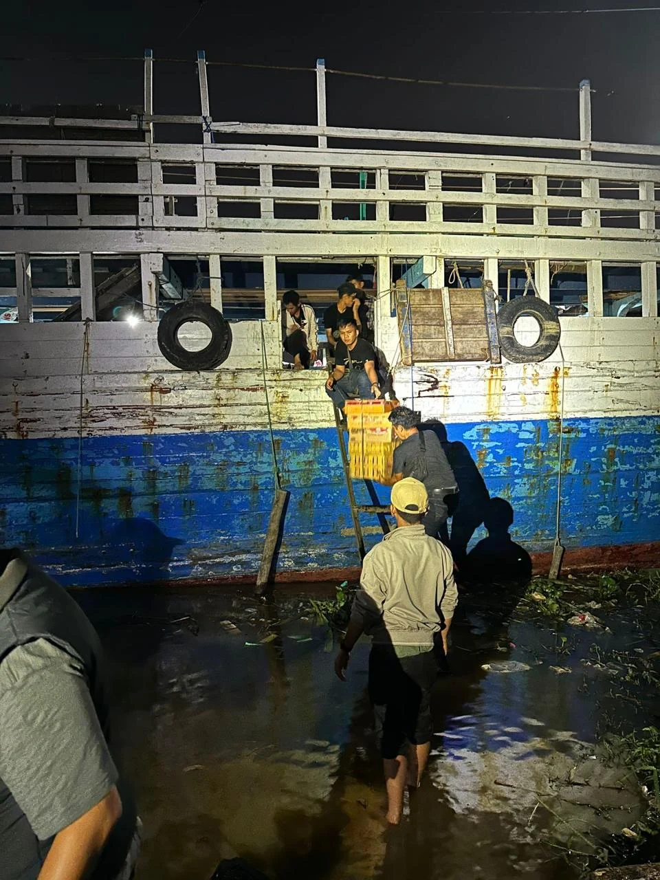BKSDA Gagalkan Penyelundupan 203 Ekor Burung di Tol Trans Sumatera: Penangkapan Besar di Jalan Tol Bakauheni‑Terbanggi Besar