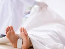 Keluarga soal Bidan Dibunuh di Situbondo Suami Cemburuan, Sering Lacak HP