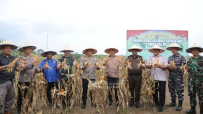 Panen Ikan & Jagung Besar di Palas: Winarti dan Rokhmin Dorong Swasembada Pangan