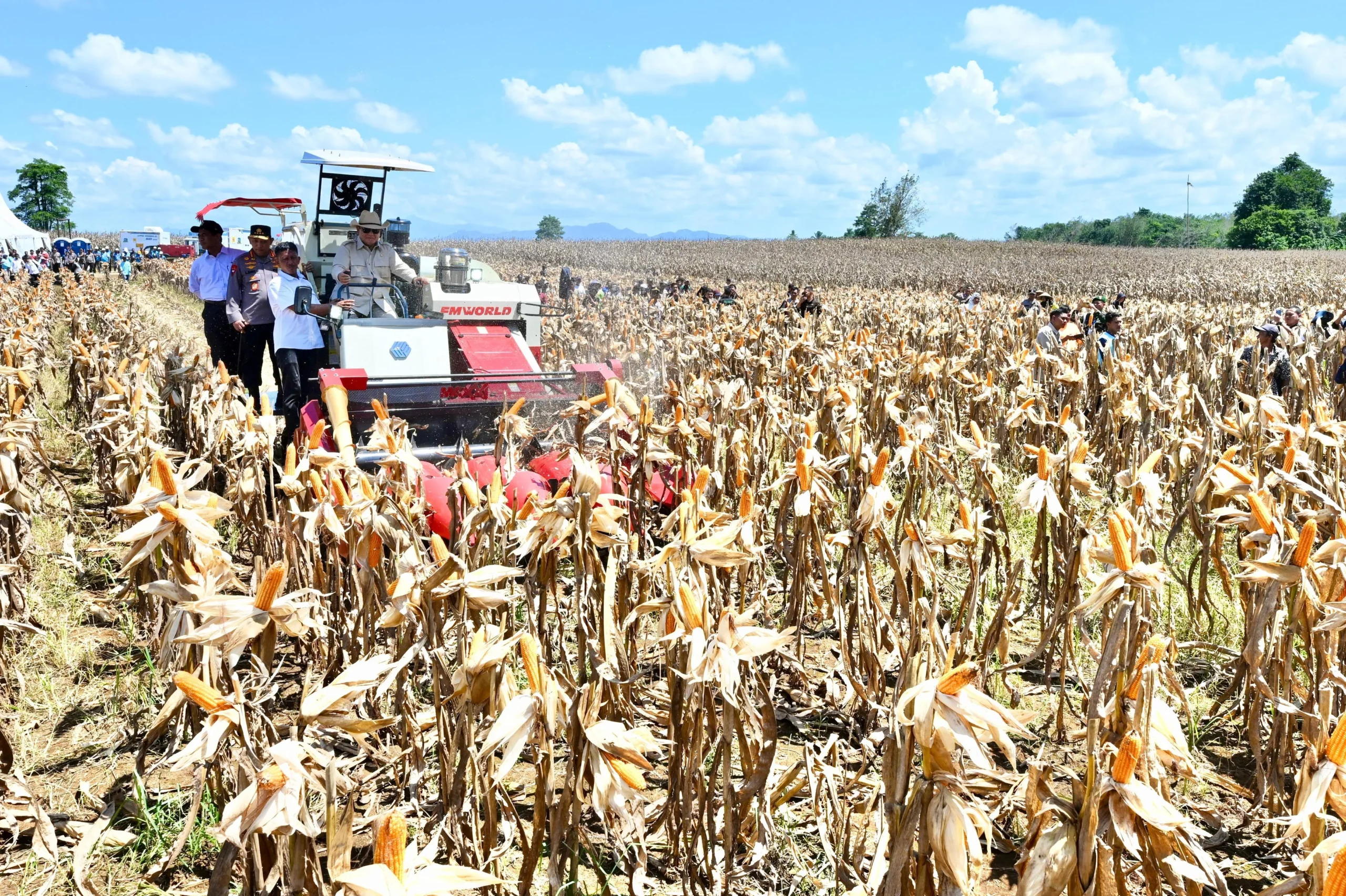 Panen Raya Jagung GNTI 2026: Winarti Dorong Modernisasi Pertanian dan Sarana Pascapanen di Lampung