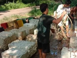 Puluhan Petani Karet di Mesuji Jadi Korban Pencurian, Warga Tuntut Tindakan Polisi