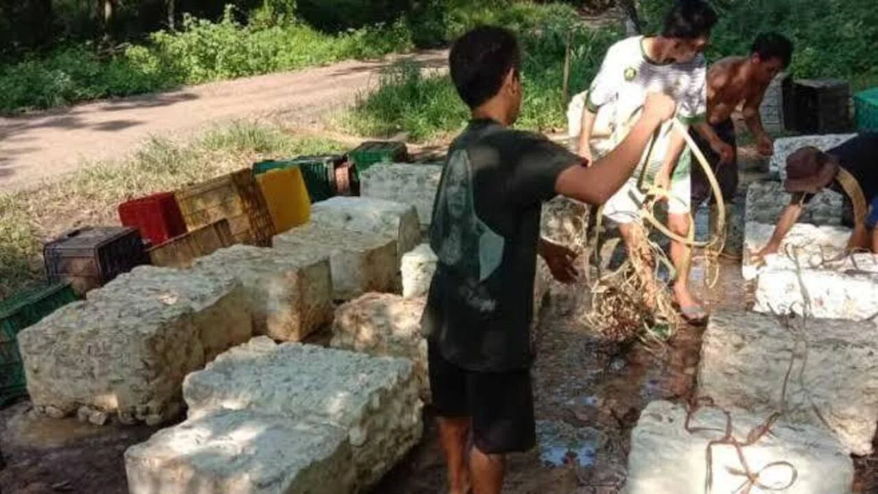 Puluhan Petani Karet di Mesuji Jadi Korban Pencurian, Warga Tuntut Tindakan Polisi