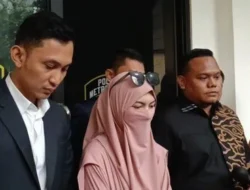 Wardatina Mawa Resmi Cerai dari Insanul Fahmi, Kekecewaan Terungkap!